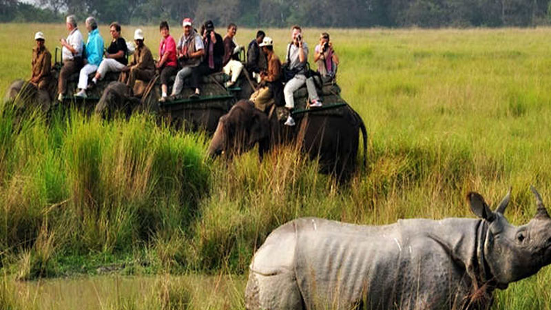 Assam Adventure Tour Packages | call 9899567825 Avail 50% Off